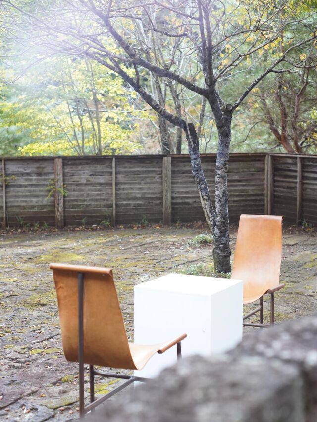 .
2025年11月1日(土)〜11月4日(火)
益子陶器市の期間中、丘の上のstarnet ZONEにて、『ZONEマルシェ』を開店します。
このマルシェでは、starnetで日頃取り扱う陶器、雑貨、靴、洋服などをお手頃価格で販売。また、隣町市貝で農薬・化学肥料不使用の循環型農業に取り組むわたねさんの地場野菜たっぷりのお弁当（11/1・2のみ）とstarnetのドリンク、益子町で地域の農業を支える活動を展開する山崎農園さんのお野菜、starnetの食品・お茶・その他取り揃えてご提供する予定です。陶器市の散策の足を少し伸ばして、丘の上でおくつろぎいただけたらと思います。

starnetのカフェとストアは陶器市期間中営業しております。カフェでは特別メニューのオリジナルカレーをお楽しみいただけます。

ストア２階のギャラリー遊星では、11月1日(土)〜11月9日(日)『渡辺敦子　暮らしのおまもり展』を開催しております。こちらもぜひお立ち寄りください。（木曜日は定休日となります。）

#starnet #スターネット #益子
#ZONE #starnetZONE #ZONEマルシェ
#益子陶器市 #陶器市 #陶器 #器 
#雑貨 #靴 #洋服 #野菜 #わたね #弁当
#山崎農園 #食品 #お茶

starnet
栃木県芳賀郡益子町益子3278-1
open: 11:00 am ~ 05:00 pm
closed: Thursday
phone: 0285-72-9661