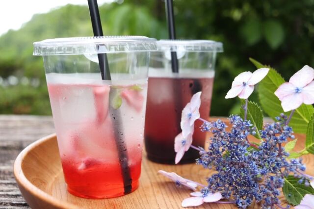 STARNET CAFEからテイクアウトドリンクのご紹介です。

カフェで提供しているお飲み物は、お持ち帰りいただくことが可能です。
（アルコールドリンクを除く）

定番のコーヒーや紅茶、野草茶、季節のスカッシュなど、
ホットまたはアイスをお選びいただけます。

お散歩やドライブのお供に
ぜひご利用ください。

#starnet #STARNETCAFE #益子カフェ #テイクアウトドリンク

starnet
栃木県芳賀郡益子町益子3278-1
open : 11:00 am ~ 05:00 pm
closed : Thursday
phone : 0285-72-9661	
e-mail : starnet@starnet-bkds.com